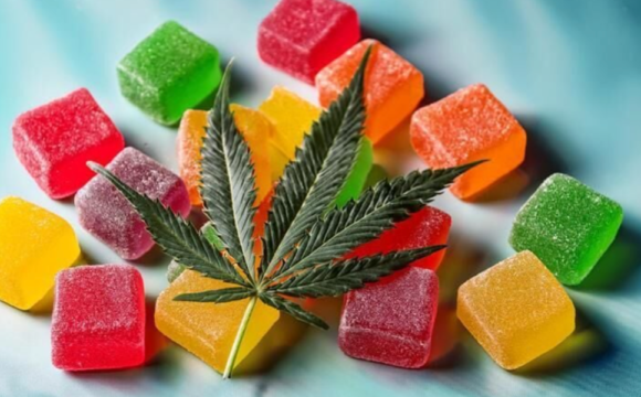 CBD Gummies